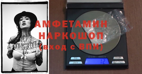 дмт Ельня