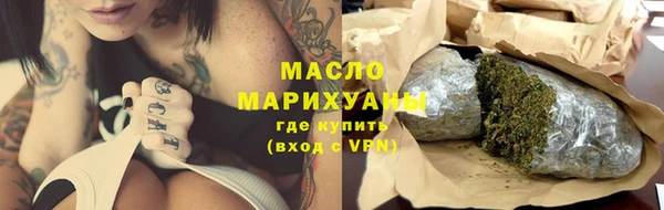 дмт Ельня