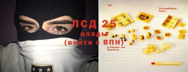 дмт Ельня