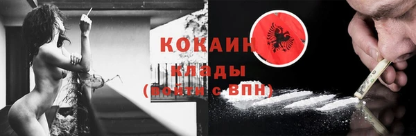 дмт Ельня