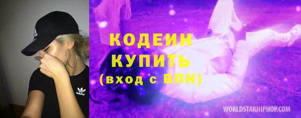 дмт Ельня