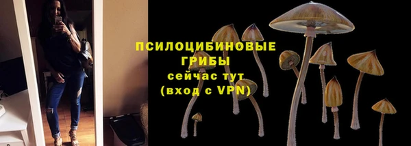 дмт Ельня