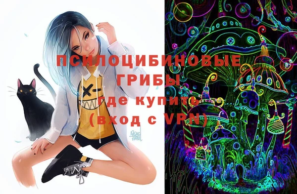 дмт Ельня