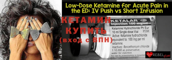 дмт Ельня