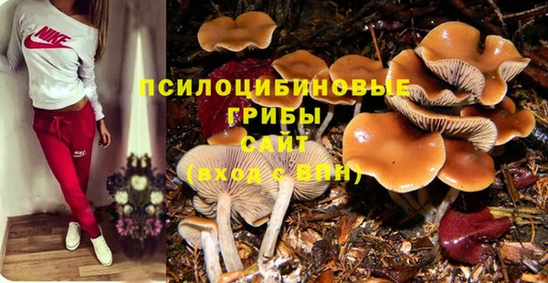 кристаллы Елизово