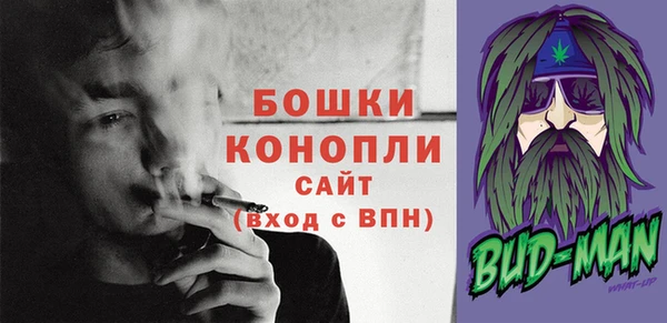 дмт Ельня