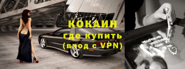 дмт Ельня