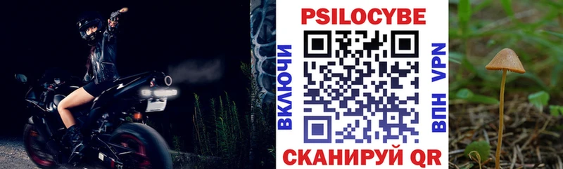 Галлюциногенные грибы Psilocybe  Купить где  Ковдор 